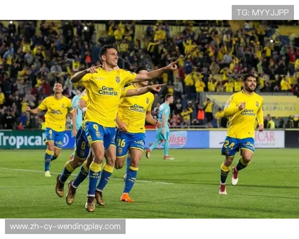 意甲最新球队：意甲最新加入球队与赛季变化