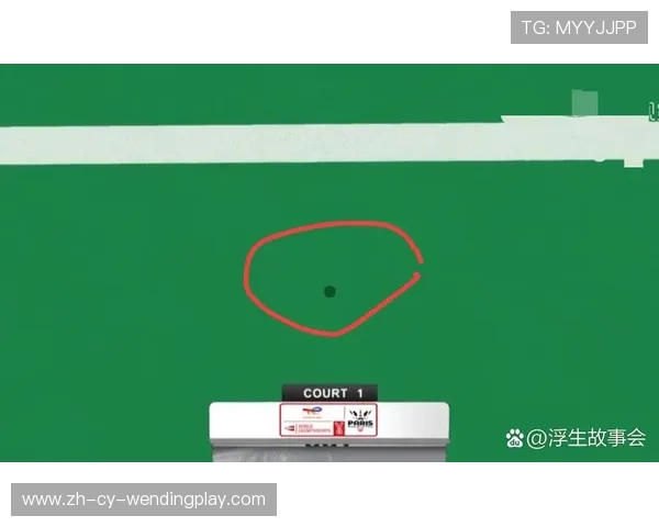 羽毛球让盘 羽毛球让盘