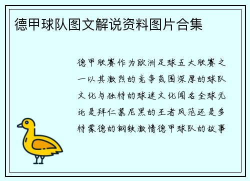 德甲球队图文解说资料图片合集